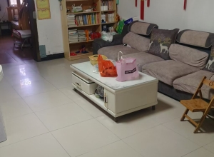 自建房  周边环境成熟  生活方便